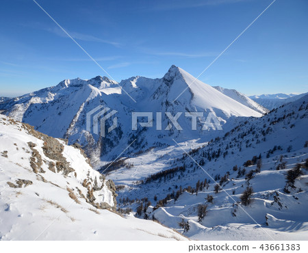 Elegant snowcapped mountain peak 43661383