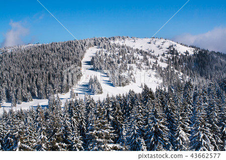 aerial panorama of the slope at ski resort aerial panorama of the slope at ski resort 43662577