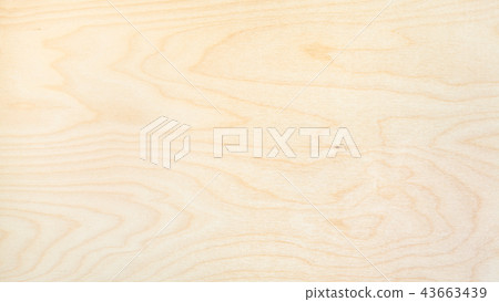 panoramic background from natural birch board panoramic background from natural birch board 43663439
