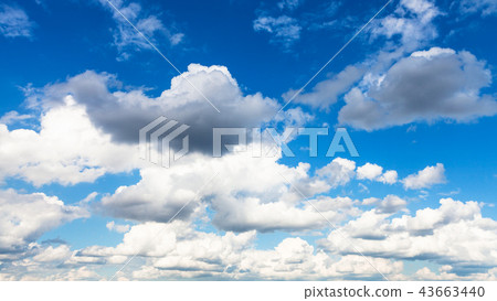 panoramic view of cumulus white and gray clouds panoramic view of cumulus white and gray clouds 43663440