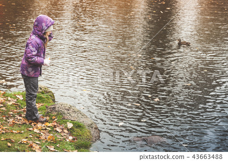 Little girl feeds ducks Little girl feeds ducks 43663488