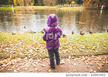 Little girl feeds ducks on a small lake coast Little girl feeds ducks on a small lake coast 43663493