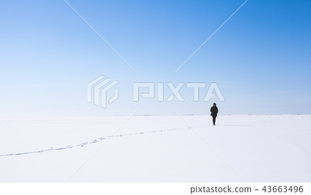 Lonely girl walks along the endless snowfield 43663496