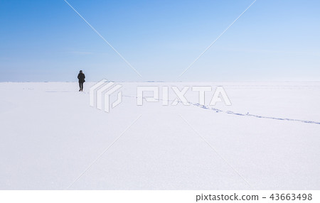 Lonely teenage girl walks in winter Lonely teenage girl walks in winter 43663498