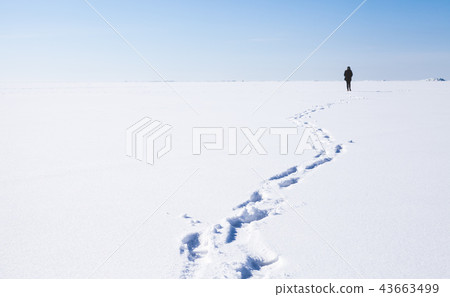 Footsteps of lonely person walking on snow Footsteps of lonely person walking on snow 43663499