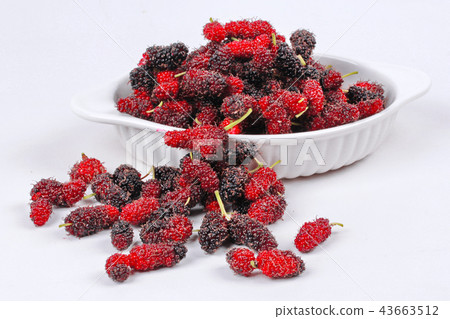 Fresh black and red ripe mulberries on wood Fresh black and red ripe mulberries on wood 43663512