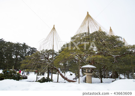 Kenrokuen Karasaki Matsu Kenrokuen Karasaki Matsu 43663609