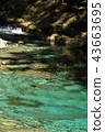 Inui blue (Yaigawa) 43663695
