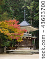 Koyasan in autumn 43663700