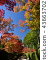 Autumn road serpent road 43663702