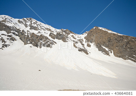 Spring avalanches in the Alps 43664081
