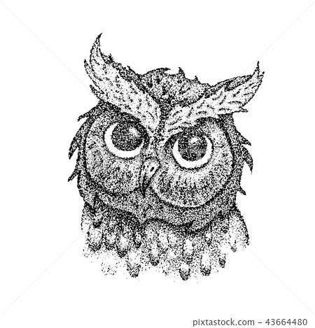 Dotwork Owl Head Dotwork Owl Head 43664480