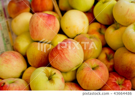 Apples in a box on the market. Apples in a box on the market. 43664486