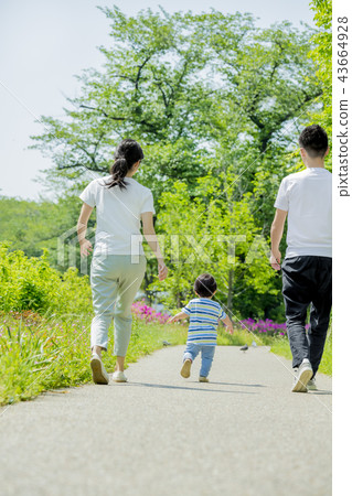 Back view of a family of three playing in the fresh green park 43664928