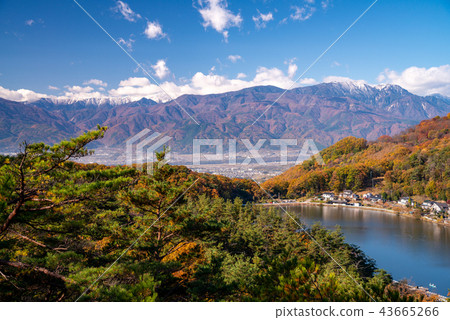 [Yamanashi Prefecture] Lake Chiyoda / Autumn leaves on the lakeside and mountain range in the Southern Alps 43665266