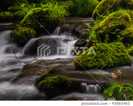 Kidanusawa Stream Kidanusawa Stream 43665463