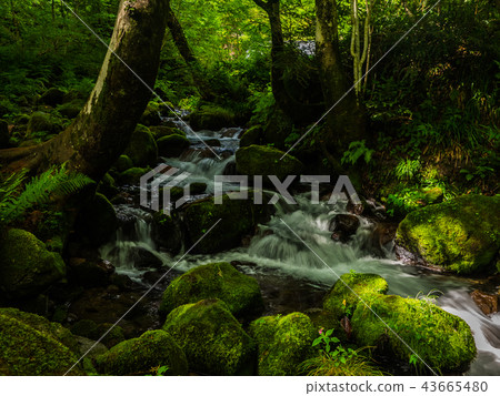 Kidanusawa Stream 43665480