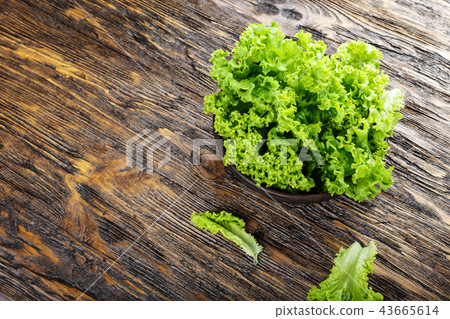 lettuce on the board lettuce on the board 43665614
