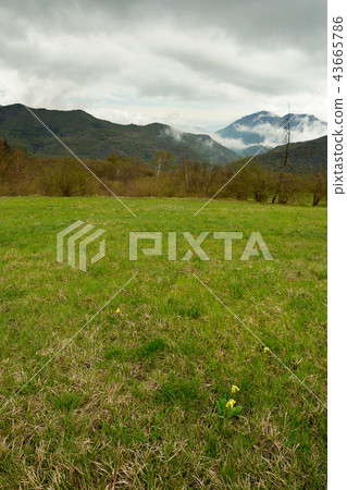 Alpine cloudscape in spring Alpine cloudscape in spring 43665786