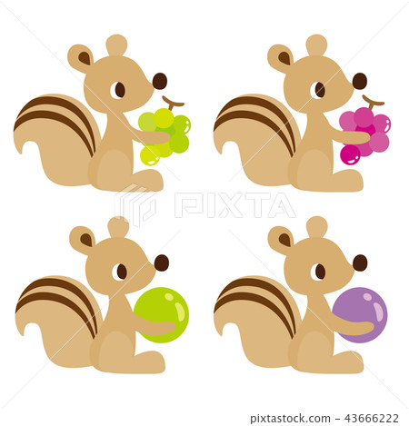 Rinto Grape 43666222