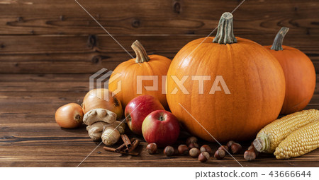Autumn harvest on wooden table Autumn harvest on wooden table 43666644
