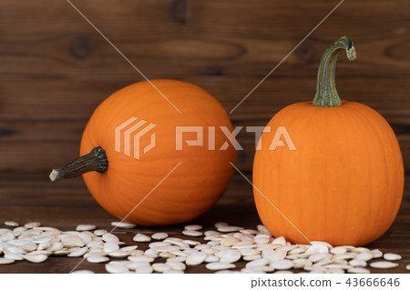Pumpkina and seeds on wood Pumpkina and seeds on wood 43666646