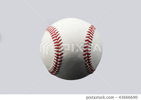 Rigid baseball ball 43666690