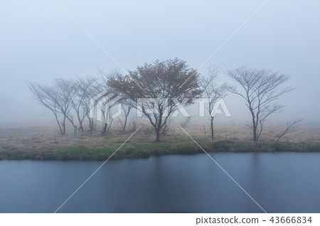 Wakchonbuchi的早晨 43666834