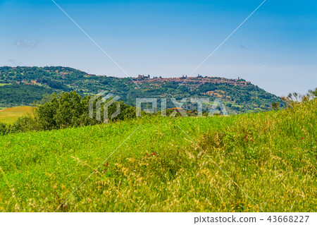 Landscape of hilly tuscany 43668227