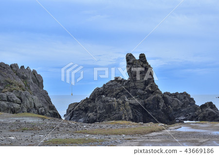 Dumplings and Inuiwa 43669186