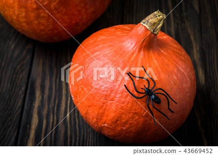 Halloween holiday background with pumpkins 43669452
