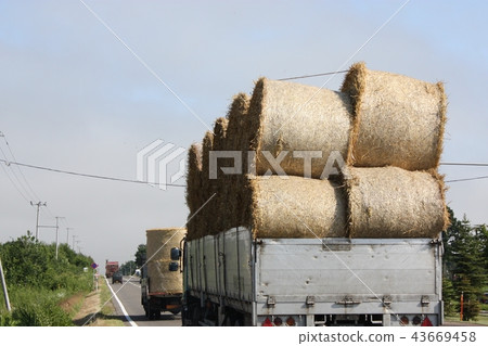 Grass transport 43669458