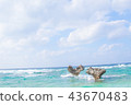 Heart rock in Okinawa 43670483
