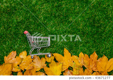 Golden autumn maple leaves and little shopping cart 43671277