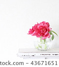 Tulip flower bottle square 43671651