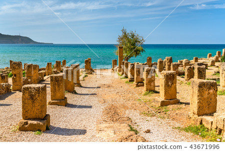 Ruins of Tipasa, a Roman colonia in Algeria, North Africa 43671996