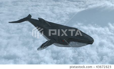 Flying whale 43672823