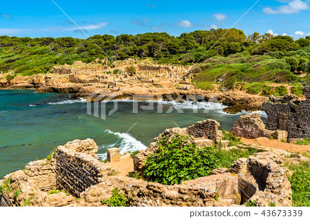 Ruins of Tipasa, a Roman colonia in Algeria, North Africa 43673339