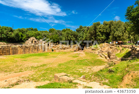Ruins of Tipasa, a Roman colonia in Algeria, North Africa 43673350