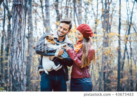Couple in fall having walk with dog in a park 43673483