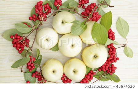 Red schisandra and white apples.  43674520