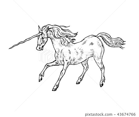 Mythological unicorn. Mythical antique magic animal. Ancient horse, fantastic creatures in the old Mythological unicorn. Mythical antique magic animal. Ancient horse, fantastic creatures in the old 43674766