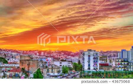 Dramatic sunset above Algiers, the capital of Algeria 43675068