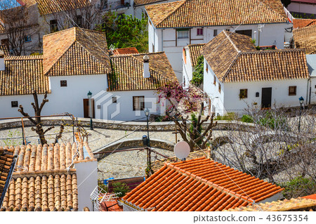 aerial view of Granada in a daytime, Spain 43675354