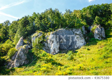 Summer landscape in Bedkowska Valley in Poland 43675380