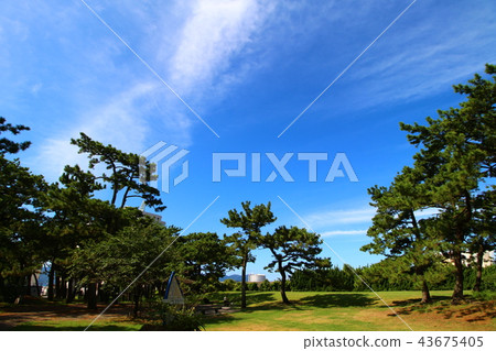 Numazu Minatoguchi Park Numazu Minatoguchi Park 43675405
