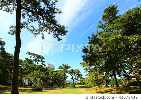 沼津Minatoguchi公園 沼津Minatoguchi公園 43675439
