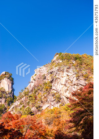 (Yamanashi Prefecture) Autumn Shosenkyo, Kakuen peak and Tenguiwa 43675793