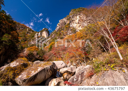 (Yamanashi Prefecture) Autumn Shosenkyo, Kakuen peak and Tenguiwa 43675797