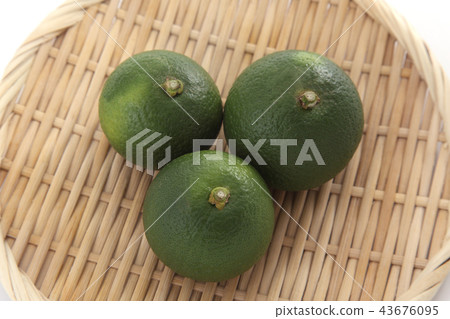 Kabosu Kabosu 43676095